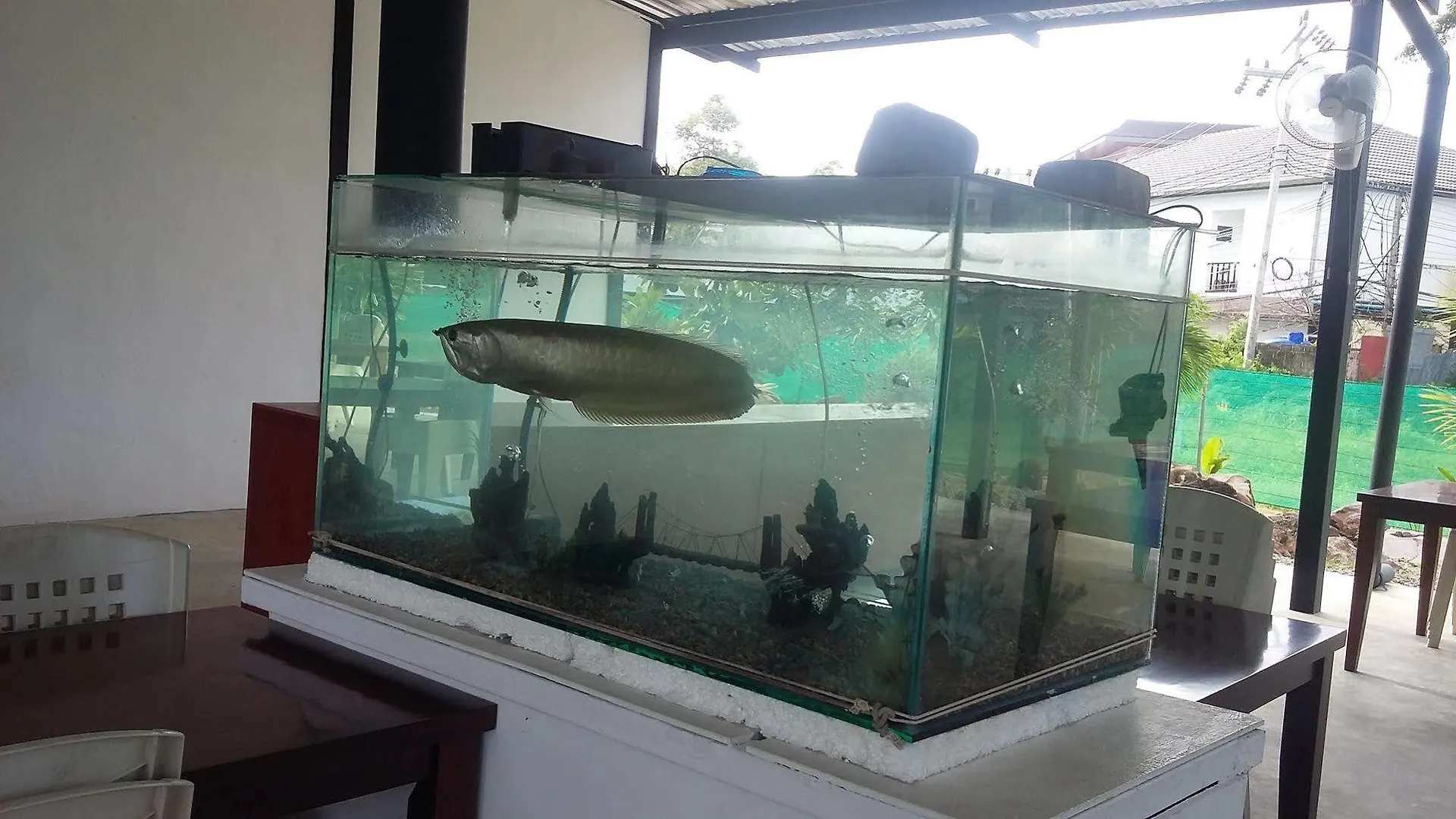 Gypsy Sea View Resort- Phi Phi Island 3*, קו פי פי